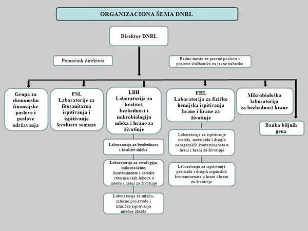 organizaciona struktura